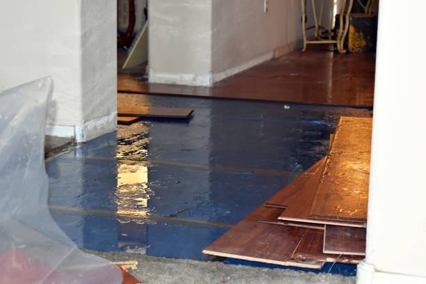 Professional Flood Damage Restoration technician working in Wellman, TX